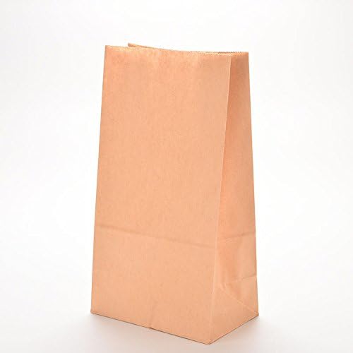 10 Brown Paper Bags - Kraft Brown Bags- Kraft Block Bottom Paper Bags - Eco Friendly & Heavy Duty SOS Bags - Great for Party Favour Loot Lunch Deli Grocery Gift Bags Sabco