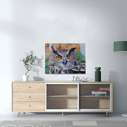 Tableau Hibou Grand Duc Toile Émotion Nature Oiseau Sauvage