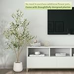 Artificial Olive Tree, 6FT Tall Faux Olive Tree with White Planter, Artificial Plants with Natural Wood Trunk and Lifelike Fruits for Home Office Decor - Image 4