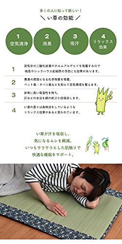 イケヒコ・コーポレーション 純国産 フリーマット 『ことり』 ネイビー 約70×180cm 7538259 シングル [5]