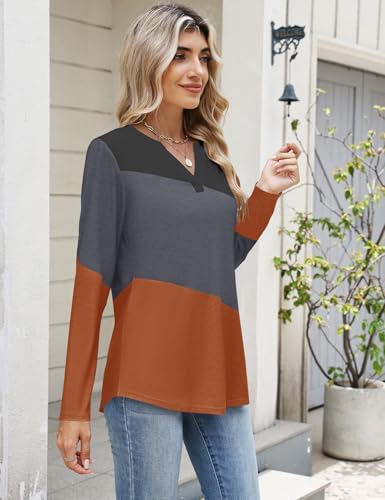 Micoson Women's Long Sleeve Tops Dressy Casual Fall Clothes Fashion 2025 V Neck Clothing Color Block T Shirts3