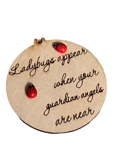 Lady Bugs Appear When Your Guardian Angels are Near. Grief and Healing Ornament or Decoration to Remind us of Those Loved and Lost
