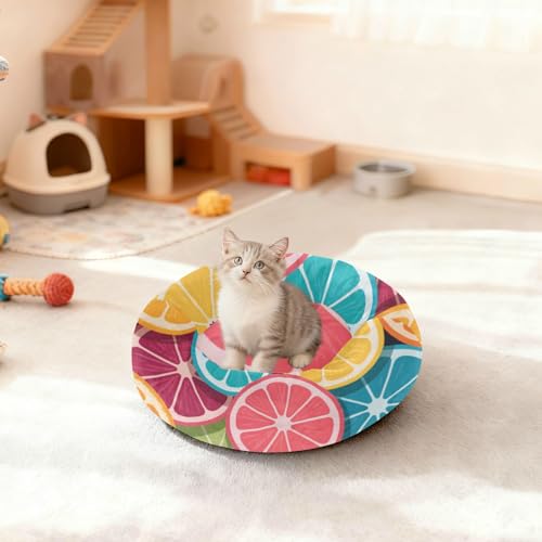 Panier pour chat anti-glisse orange taille M fini les lits qui bougent