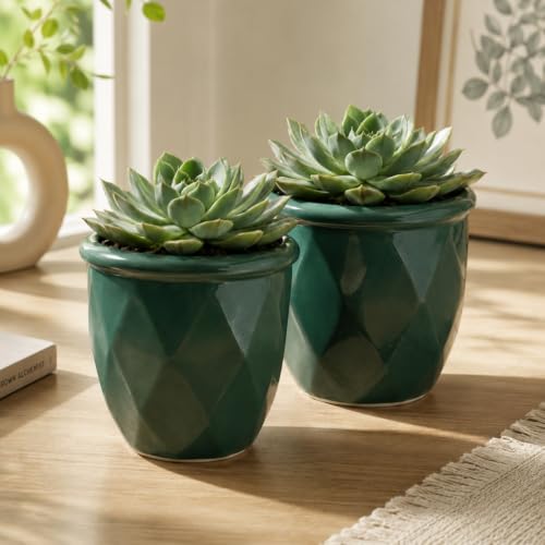 Image of ecofynd 4 Inch Ceramic Plant Pots with Drainage Hole, Modern Decorative Clay Flower Pots for Indoor Plants, Home Garden Decor for Living Room, Bedroom & Interior Spaces (Pack of 2, CPOT043-DGN)