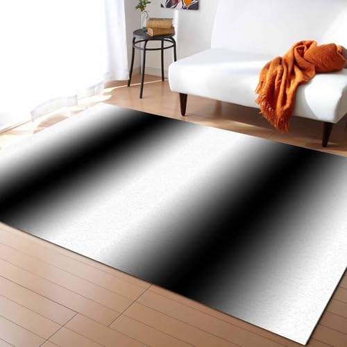 Amazon.com: LEOKOTI Large Area Rug 5'x7', Black Ombre Soft