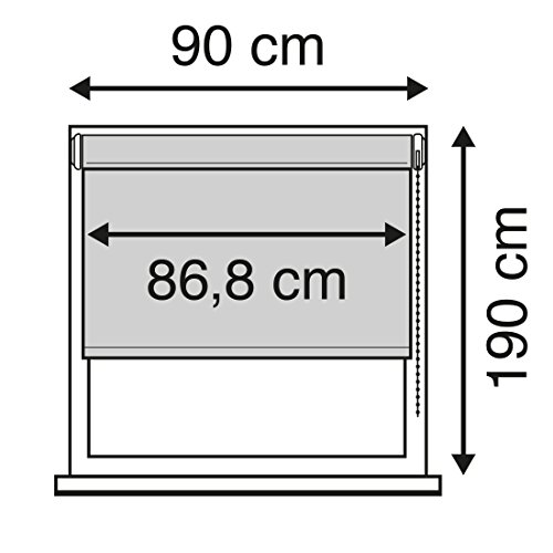 Intensions 1187084 Tenda a Rullo Traslucida