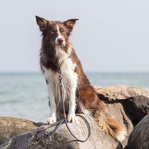 Trixie Hundeleine aus Leder BE Nordic Leine Leder XS-L, 1,20 m ø 8 mm in braun - Lederleine für Hunde mit nordischem Charme - für sehr kleine bis große Hunde - 17461
