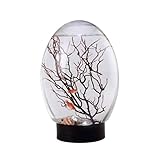 KUYYFDS Aquariums Fish Bowls, Mini Fish Tank Ecosphere Closed Aquatic Ecosystem Desktop Aquarium...