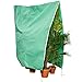 Produktbild GardenGloss® Pflanzenschutz Winter [Verschiedene Größen]  Winterschutz für Kübelpflanzen, Palmen und andere Pflanzen  Reissfest, UV-Stabil und Wiederverwendbar  Wintervlies (Grün, 200x240cm)