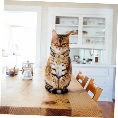 DOITOOL 2 Unidades coleira de animais de estimação decoração gato para cães ferramenta de remoção ga