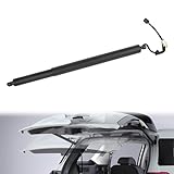 Dasbecan Rear Electric Tailgate Power Lift Support Shock Strut Compatible with Hyundai Palisade 2020 2021 2022 2023 2024 Replaces# 81841-S8100 81841S8100 Right Side 1 Pcs