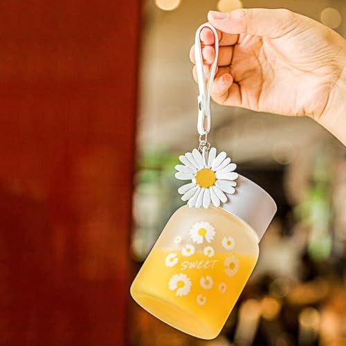Image of Glassbunny Frosted Glass Water Bottle with Lid and Portable Rope, 300 ML Drinking Glass Coffee Mug Juice Jar Flower Printed Tea Cup for Office, Summer, Home, Outdoor