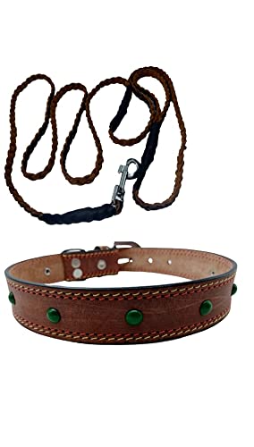 Forever99 Pet Shop Pure Leather Dog Collar with Padded,Large Dog Training Leash - Heavy Duty Military Grade Training & Walking 6 ft by 14mm (6 Feet, Brown) (B07XCVWGM3) Amazon Price History, Amazon Price Tracker