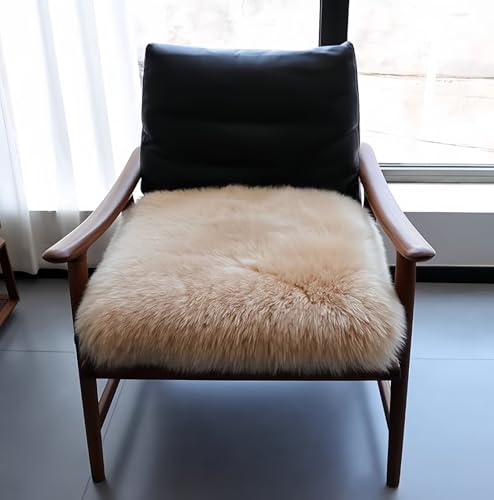 MIMIER ���[�g�����O ���[�g�� ���z�c �V�R���[�g�� ���� �ё���60~90mm 50×50cm �u���V�t �В��ܕt �I�[�X�g�����A�Y����g�p �����ґ� ���A���t�@�[ �h�_�j �����x ���e��