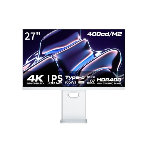 RichVision 「RV200」 27インチ 4Kモニター / UHD(3840×2160)/ HDR400 / 10bit IPSパネル/広色域 sRGB 97% DCI-P3 97% AdobeRGB 98% / USB-C 65W給電 / フル可動スタンド搭載 (B0G2LYS4ZJ) Amazon価格推移・価格追跡