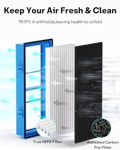 Leemone Aer1 Filter Replacement for Holmes Air Purifiers, 2 True HEPA Filters + 4 Carbon Booster Filters, HAPF30AT