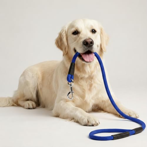 Image of Dog Leash for Large Dogs & Medium Dogs 5 Feet - Heavy Duty Nylon Rope 15mm Thick Leash with Anti Slip Rubber Handle - Tangle Free & Swivel Metal Clip (Blue)