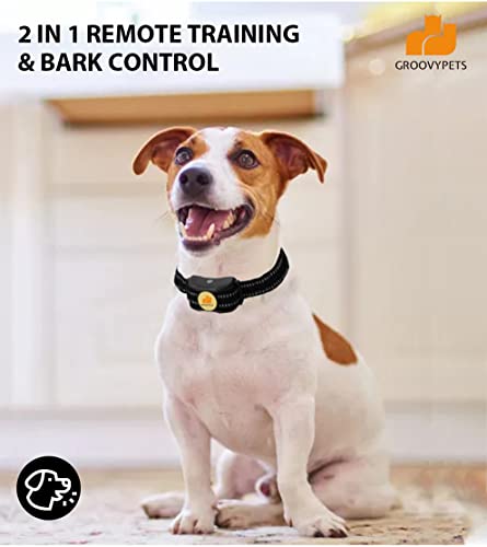 Dog Collar Training Remote in Use