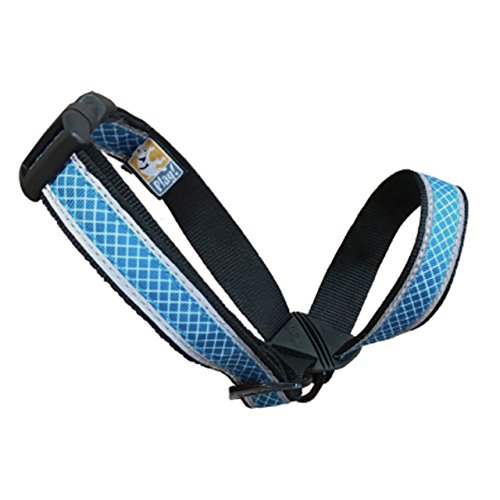 Kurgo Snout About Dog Head Halter | Headcollar for Dogs | No Pull Dog Training Collar | Dog Training Tool | Gentle Control While Walking | Reflective Trim | Coastal Blue | Large, (Model: K01345)