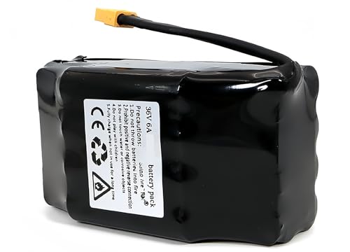 Batterie pour vélo électrique 36V 6Ah monocycle rechargeable