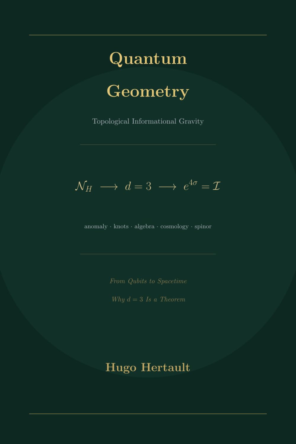 Quantum Geometry: Topological Informational Gravity (Dark Geometry)