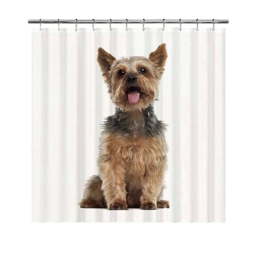 GABSHAIM Lovely Shower Curtain for Bathroom Yorkshire Terrier Yorkie Dog