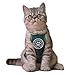MIANHUATANG Pet Apron Saliva Towelï¼ŒHalloween cat Clothes,Pets Cosplay Clothes, Pet Dog Costumeï¼ŒFunny Pet Clothes ï¼ŒSuitable for Most Small Dogs or Cats.Pet Clothes for Small Dogs