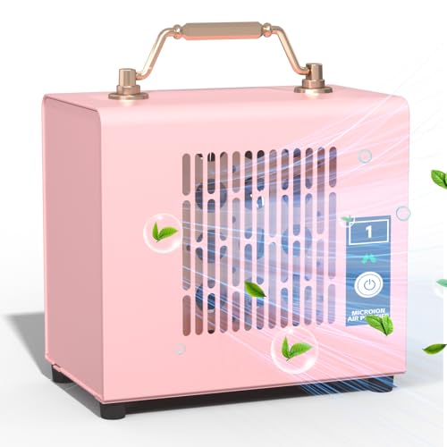Microionxyz Purificatore d’Aria Ionizzatore Portatile, Senza Filtri, 6 Ore di