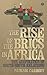 The Rise of the BRICS in Africa: The Geopolitics of South-South Relations