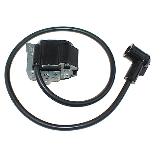 Bobina de encendido para limpiar hojas con sopladores EB7660WH en otoño 4