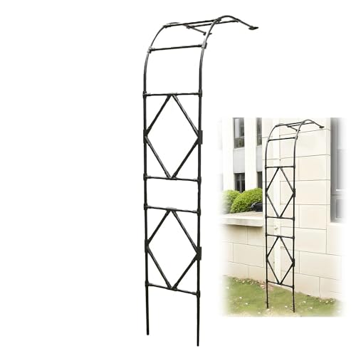 Arc de Jardin en Métal Demi-côté Treillis pour Diverses Plantes Grimpantes Support de Vigne Cadre D'arche Arc à Roses, Hauteur 2.4m