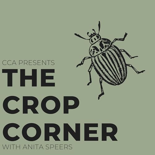 『Interesting Insects with Anne McRae』のカバーアート