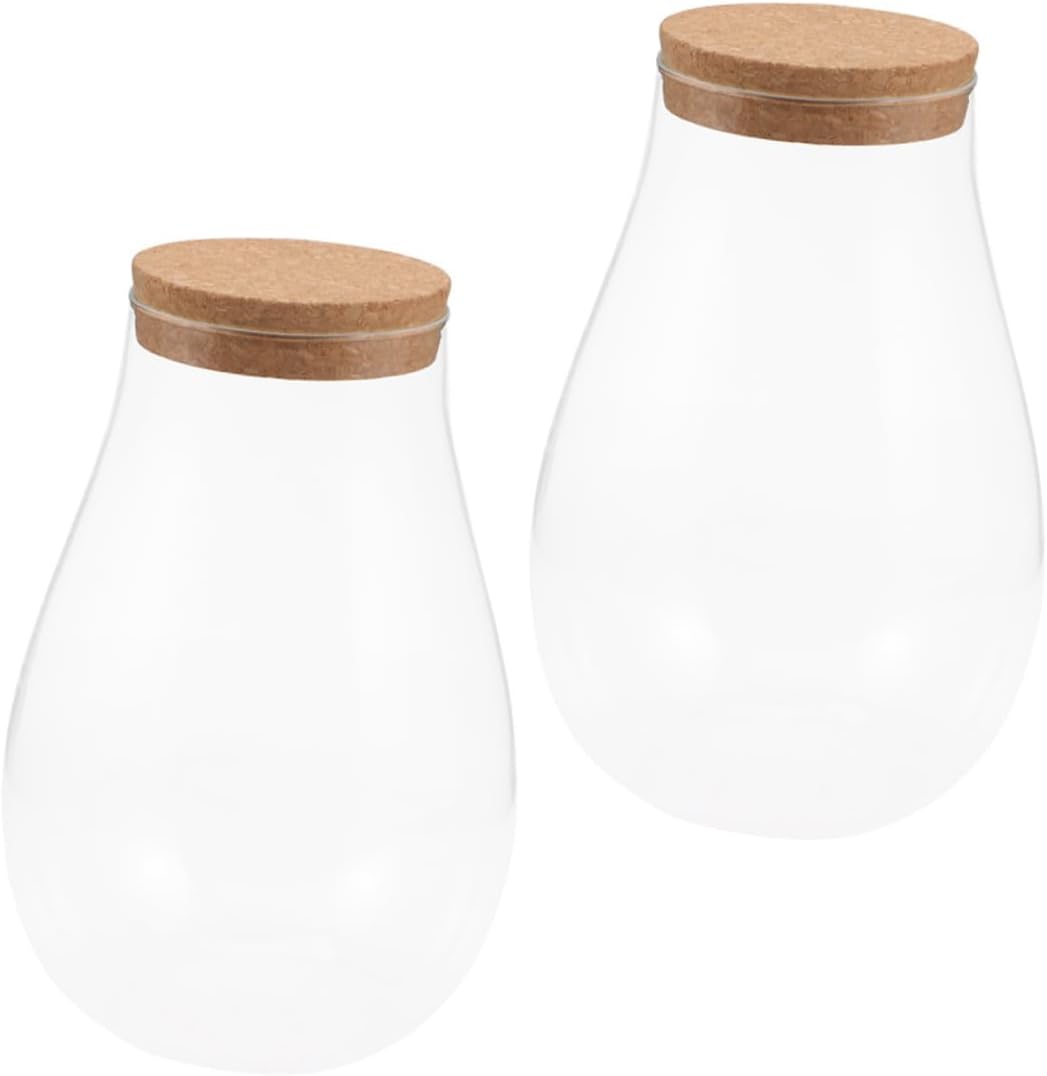 2Pcs Empty Terrarium Glass Bottle for DIY Plants Small Container with Cork Versatile Indoor Decoration for Home Office Garden and Balcony Use