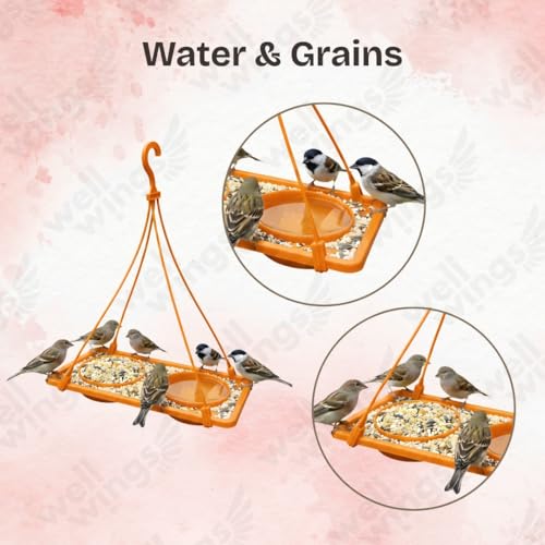 Image of 2-in-1 Dana Pani Bird Feeder Tray for Balcony - Hanging Bird Feeding Station with Water Bowl and Seed Tray Hanging Bird Bath for Sparrow,Wild Birds (Pack of 1)