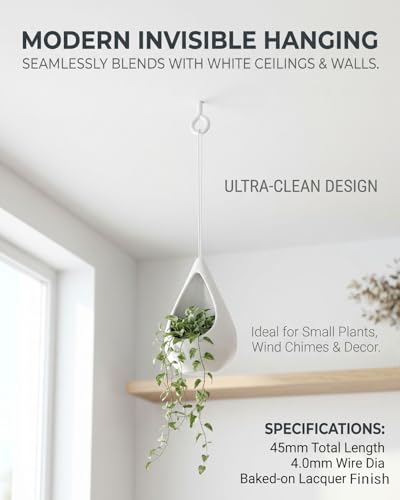View 4
