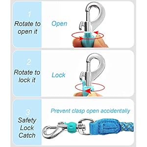 Rope Dog Leash - 2/3/4/6/10 Foot Reflective Dog Leash- Strong Nylon Braided Heavy Duty Dog Training Leash for Large and Medium Small Dogs Walking Leads (Sky Blue- 3 feet) Rope Dog Leash – 2/3/4/6/10 Foot Reflective Dog Leash- Strong Nylon Braided Heavy Duty Dog Training Leash for Large and Medium Small Dogs Walking Leads (Sky Blue- 3 feet)