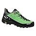 Produktbild Salewa Herren Alp Trainer 2 GTX Multisportschuhe Schwarz/Grün 10,5