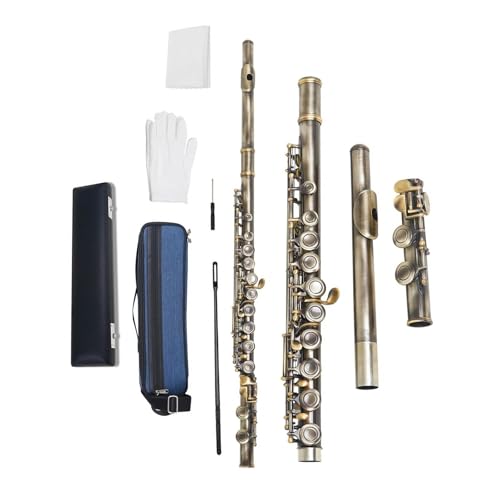 Flute CL[t[gZbg 16 O[ AeB[N P[Xt  ؊ǊyANZT[