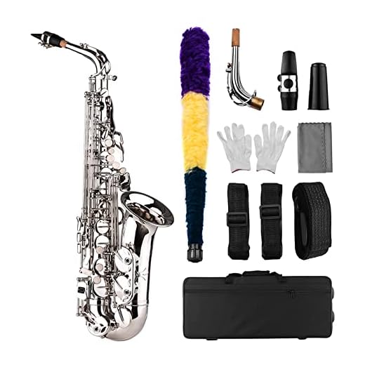 Btuty Saxofone Sax Eb Be Alto E Flat Brass Esculpido Padrão na Superfície Bocal de Plástico Requintado com Luvas Pano de Limpeza Tiras de Escova
