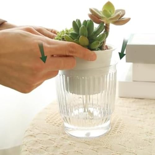 4 recipientes de riego automático para plantas con indicador de nivel de agua que mantienen tus plantas hidratadas