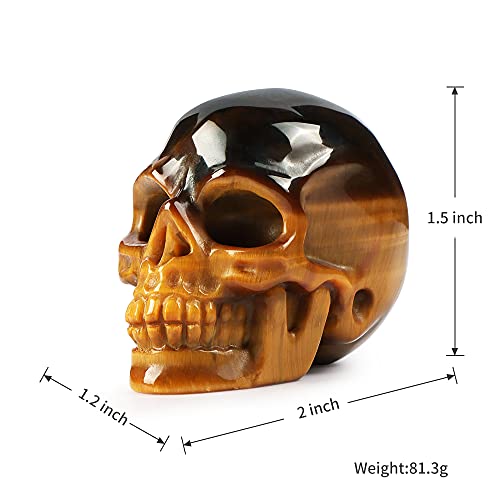 Estatua Decorativa Calavera de Ojo de Tigre 2 pulgadas miniatura 3