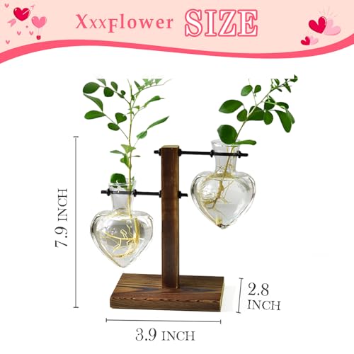 HUABEI Plant Terrarium Wooden Stand, Air Planter Bulb Glass Vase Metal Swivel Holder Retro Tabletop Hydroponics Home Garden Office Decoration - 2 Bulb Vase Left Right