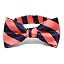 Bright Coral and Navy