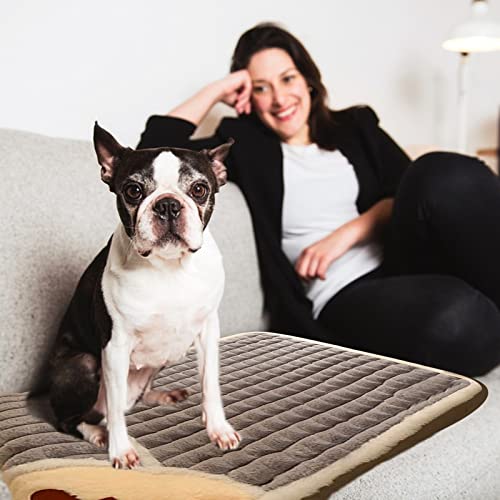 PETCUTE Colchoneta para Perros y Gatos,Espuma con Memoria, Cojín para Mascotas Suave Cálido y Duradero con Funda Extraíble y Lavable,Cama para Perros Grandes y Medianos,M