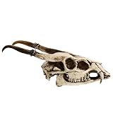 Art mural tête d'animal - caractéristique et fabrication, décoration de bureau à domicile, tête de crâne d'animal