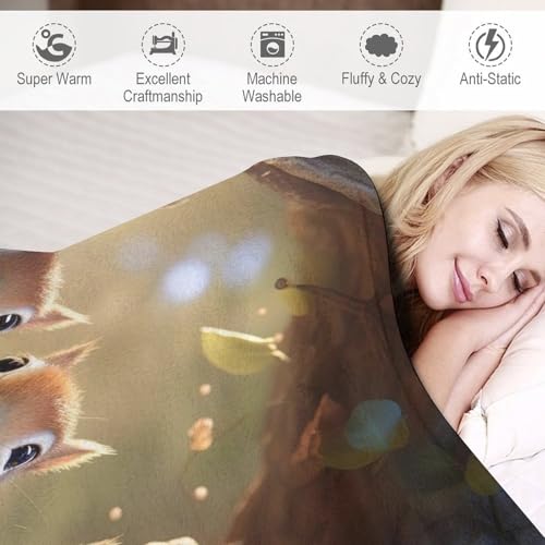 Couverture Écureuil Douillette pour Soirée Cocooning Canapé Lit - 4