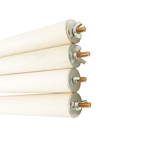 Ofanyia Legno persico Stand Zampa rettifica