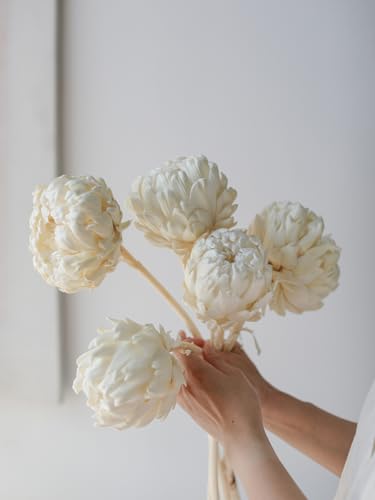 Flores Secas White Shakyamuni para Decoración miniatura 2