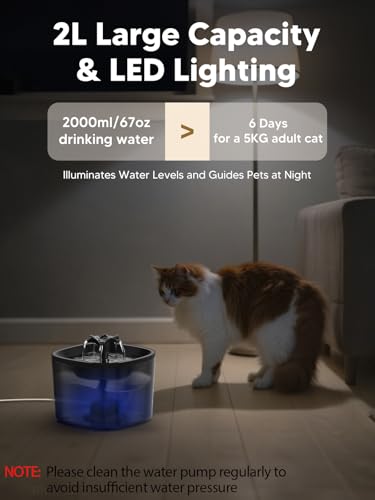 Automatic Cat Feeder and Water Fountain, 4L/16Cups Pet Dry Food Dispenser 2L Water Dispenser, Locking Lid, Programmable Timer 6 Daily Meals, 10s Voice Recorder, Cat Accessories for Puppy Kitten - Image 7