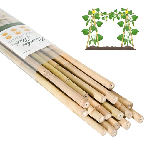 Cambaverd Bamboo Stakes 7 Feet Natural Plant Stakes for Tomatoes Climbing Plants Support Tall Garden Stake - 15 Pack Bamboo Poles